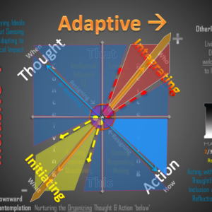 Awareness Modes - Private Consult